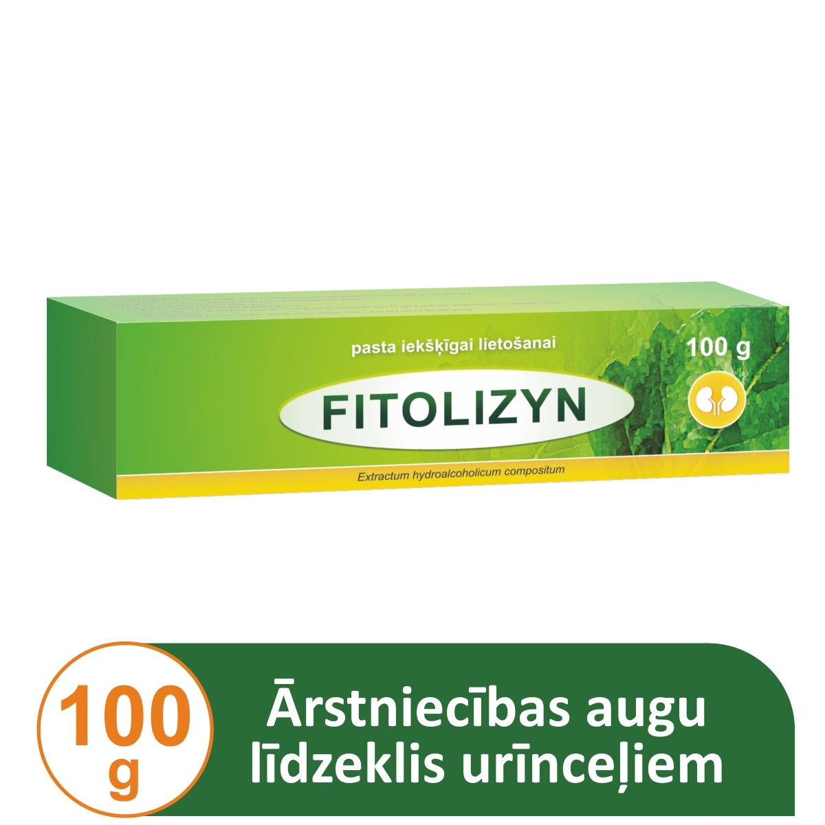 FITOLIZYN PASTA 100G