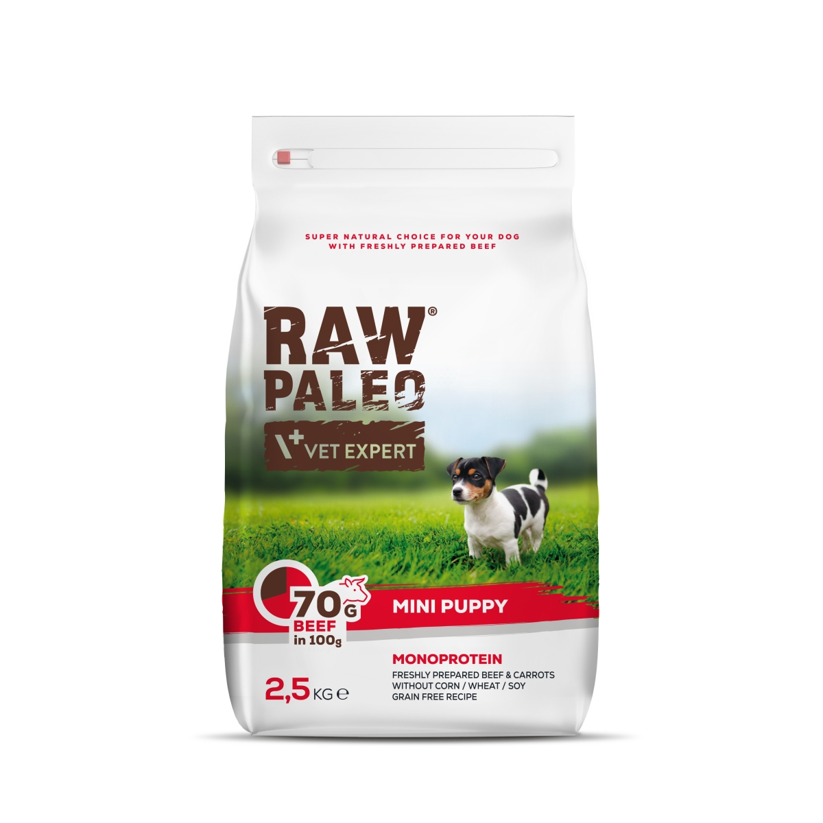 RAW PALEO KUCĒNU SAUSĀ B MINI LIELLOPS 2.5KG - Produkta attēls